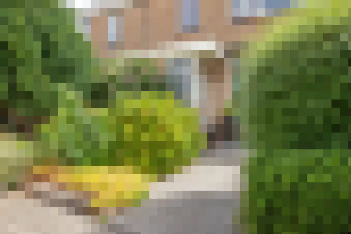 Han Hollanderweg 23 Gouda thumbnail 5