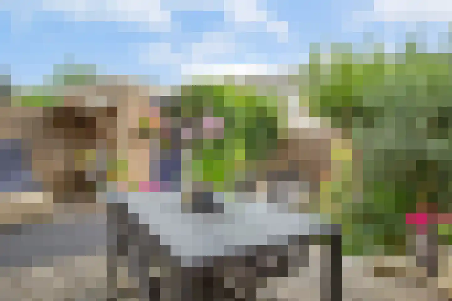 Han Hollanderweg 23 Gouda thumbnail 50
