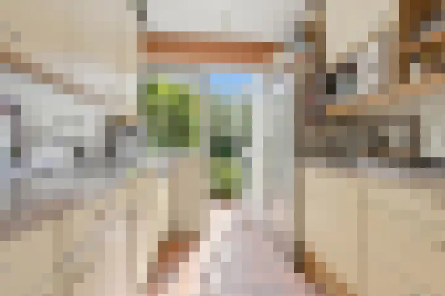 Han Stijkelplein 6 Den Haag thumbnail 15