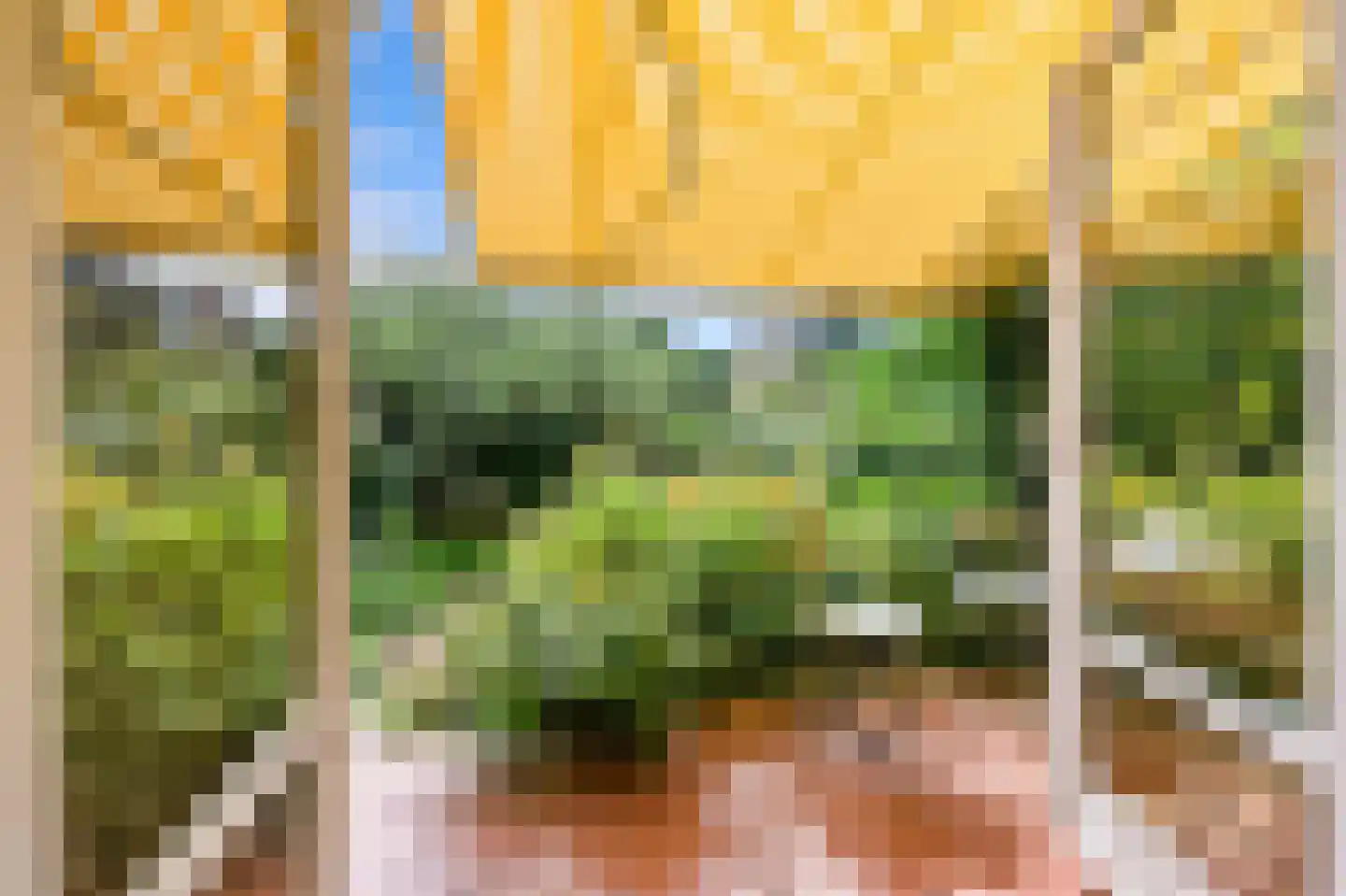 Han Stijkelplein 6 Den Haag thumbnail 17