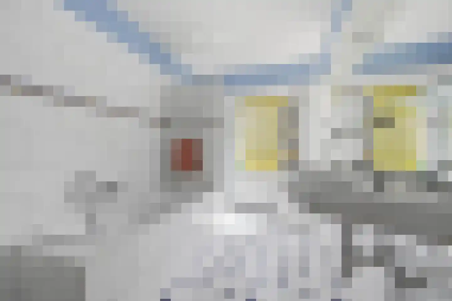 Han Stijkelplein 6 Den Haag thumbnail 33