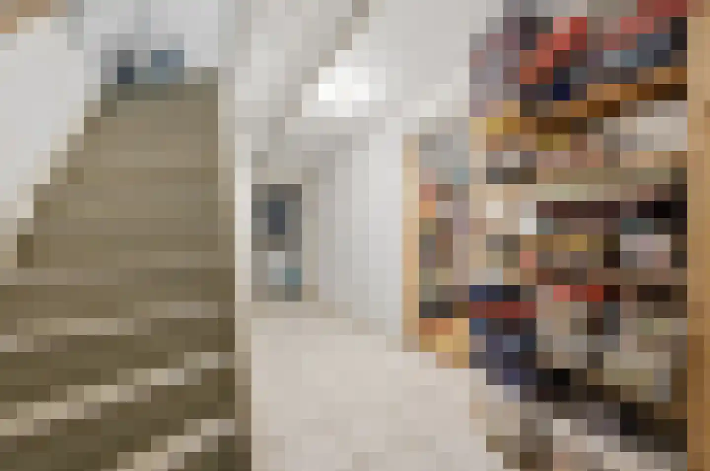 Han Stijkelplein 6 Den Haag thumbnail 58
