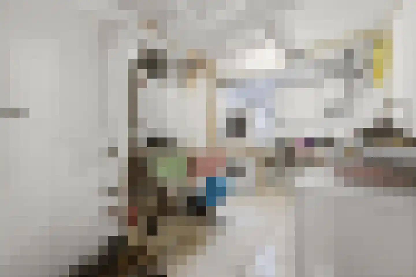 Han Stijkelplein 6 Den Haag thumbnail 61
