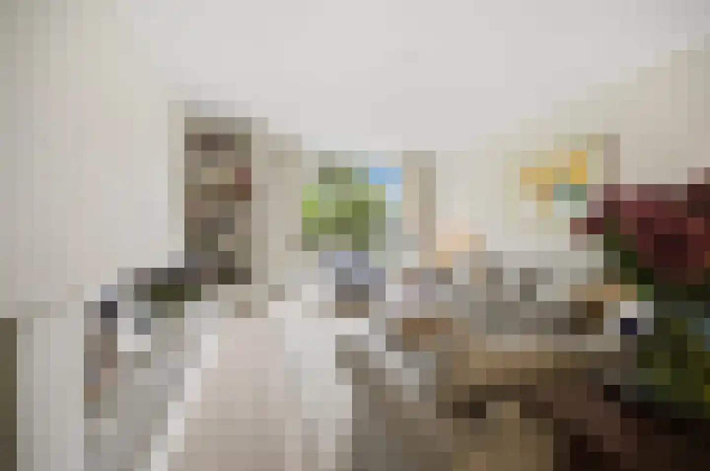 Han Stijkelplein 6 Den Haag thumbnail 8