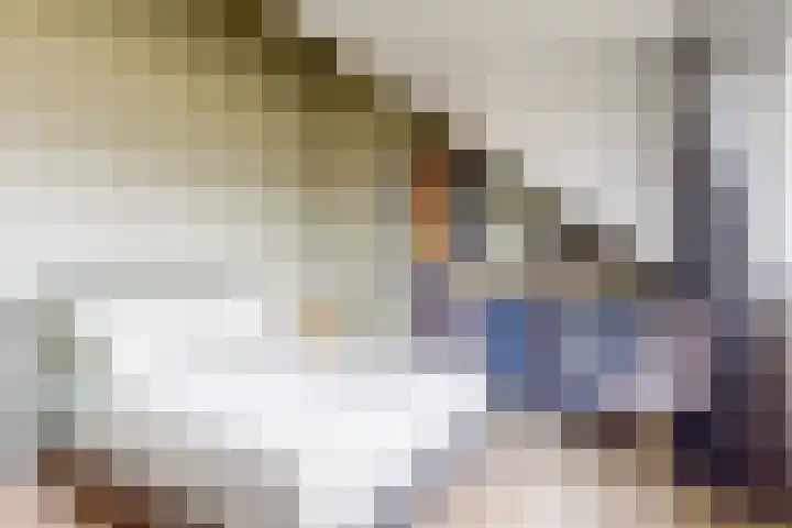 Han Tromplaan 1 A Beverwijk thumbnail 15