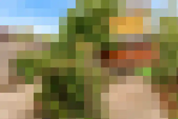 Han Tromplaan 1 A Beverwijk thumbnail 18
