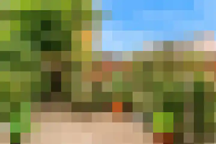 Han Tromplaan 1 A Beverwijk thumbnail 20