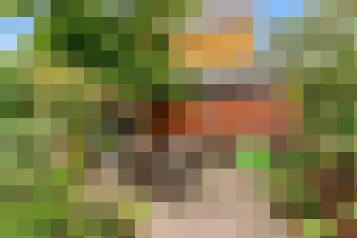 Han Tromplaan 1 A Beverwijk thumbnail 21