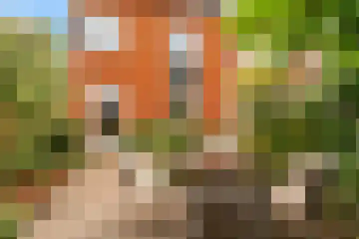 Han Tromplaan 1 A Beverwijk thumbnail 22