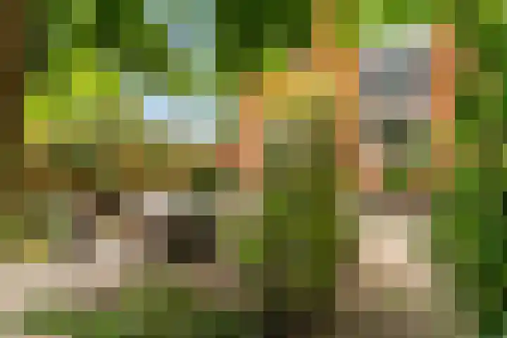 Han Tromplaan 1 A Beverwijk thumbnail 24