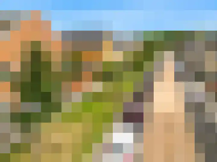 Han Tromplaan 1 A Beverwijk thumbnail 29