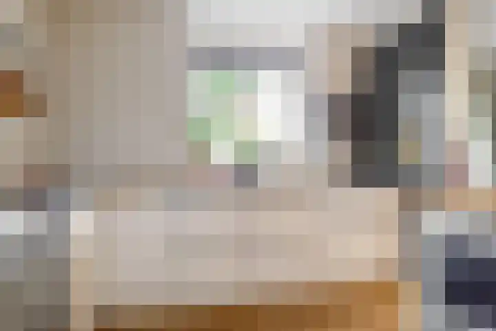 Han Tromplaan 1 A Beverwijk thumbnail 8