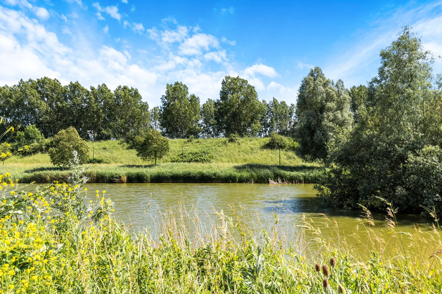Han Tromplaan 14 Beverwijk thumbnail 45