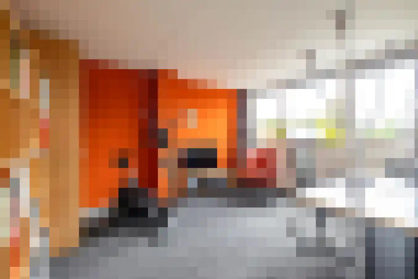 Hanckemaborg 24 Groningen thumbnail 36