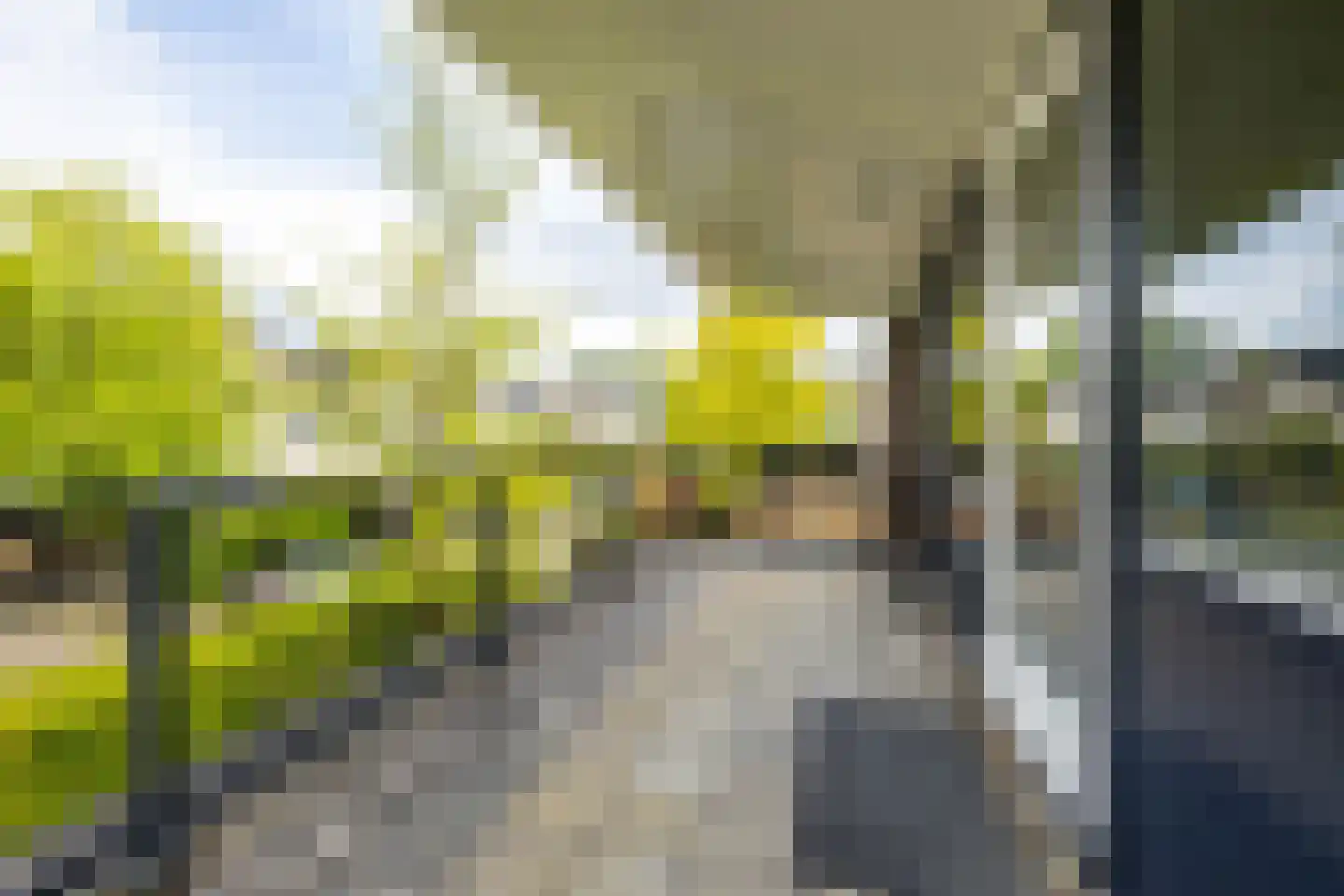 Hanckemaborg 24 Groningen thumbnail 40