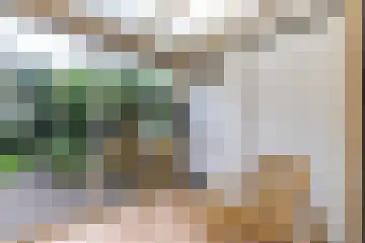 Hanckemaborg 7 Groningen thumbnail 23