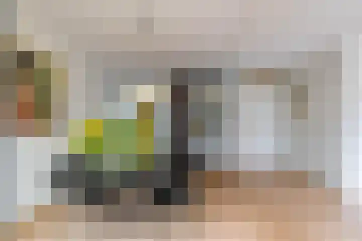 Hanckemaborg 7 Groningen thumbnail 24