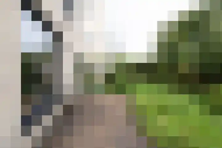 Hanckemaborg 7 Groningen thumbnail 29