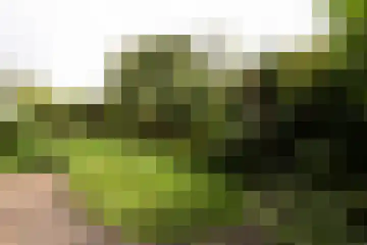 Hanckemaborg 7 Groningen thumbnail 30