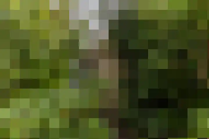 Hanckemaborg 7 Groningen thumbnail 31