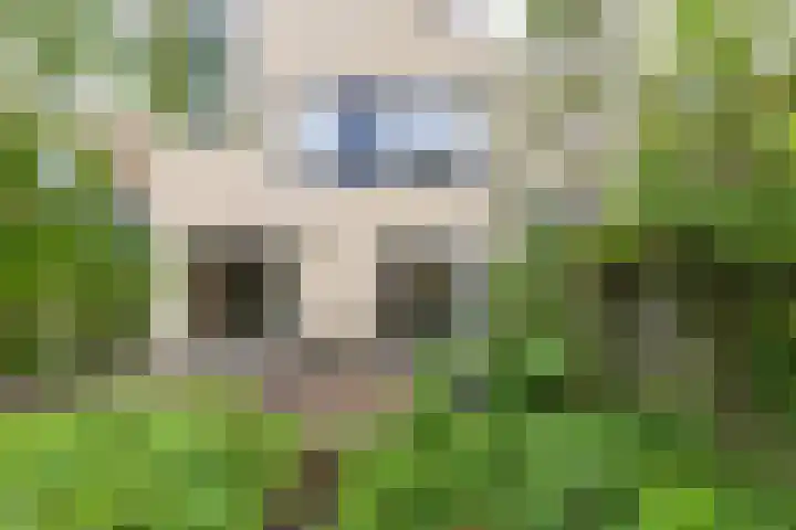Hanckemaborg 7 Groningen thumbnail 33