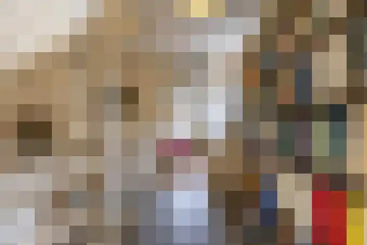Hanckemaborg 7 Groningen thumbnail 34