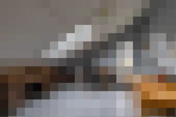 Hanckemaborg 7 Groningen thumbnail 52