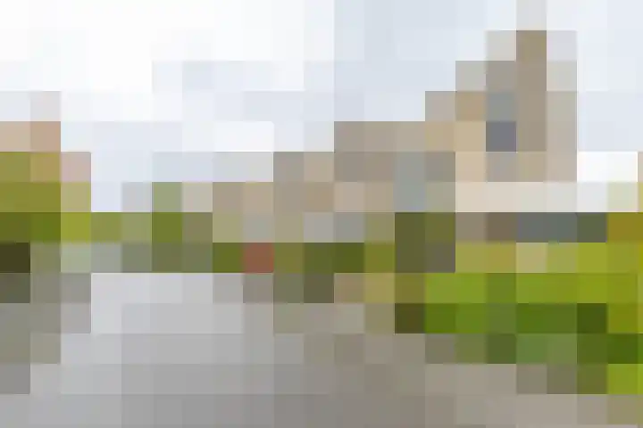 Hanckemaborg 7 Groningen thumbnail 6