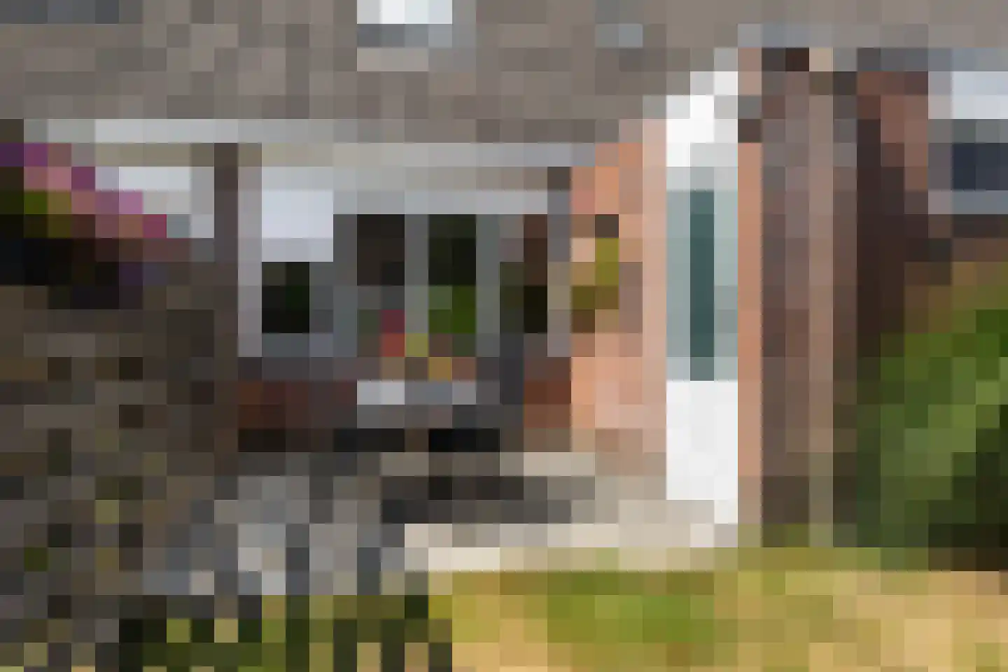 Hanckemastins 11 Leeuwarden thumbnail 6