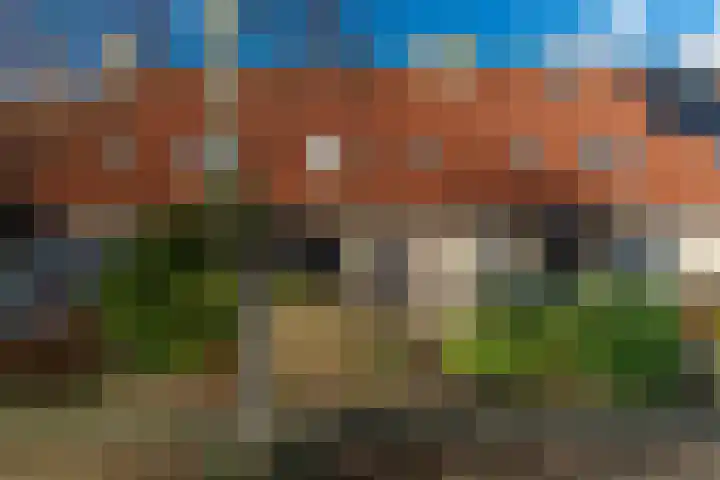 Hanckemastins 29 Leeuwarden thumbnail 5