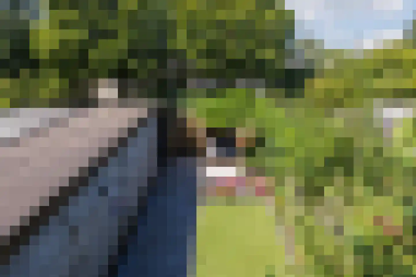 Handbalpad 13 Hellevoetsluis thumbnail 31