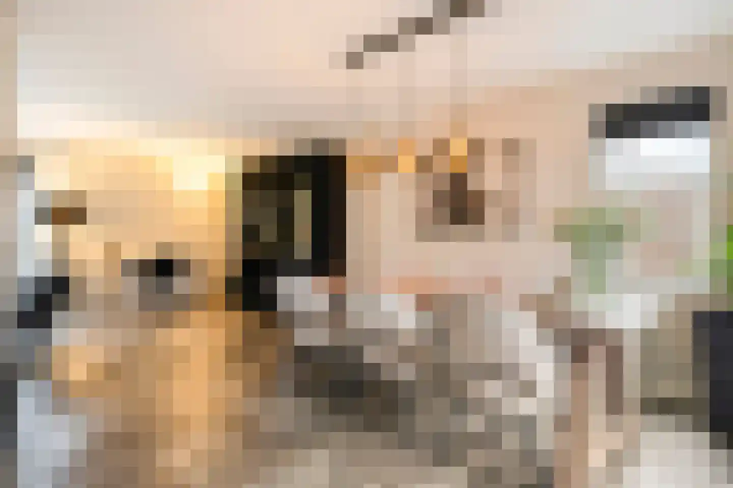 Handboogstraat 1 Loon op Zand thumbnail 10