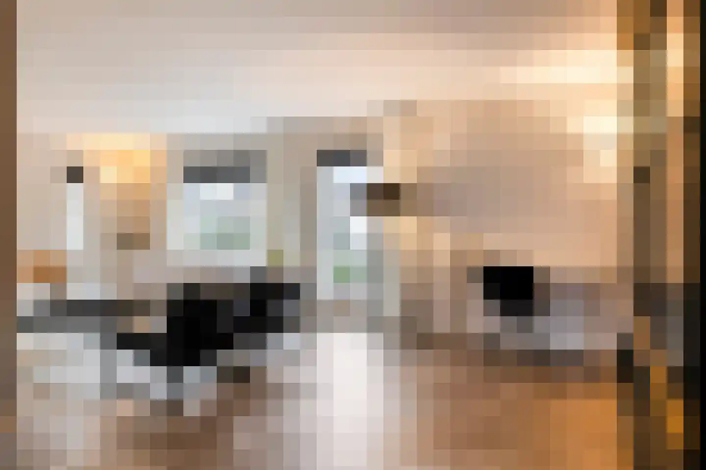 Handboogstraat 1 Loon op Zand thumbnail 19