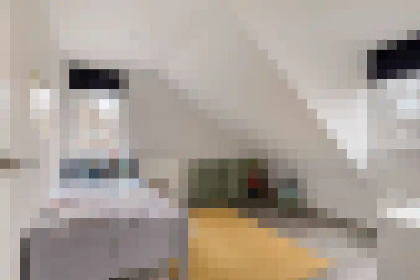 Handboogstraat 1 Loon op Zand thumbnail 31