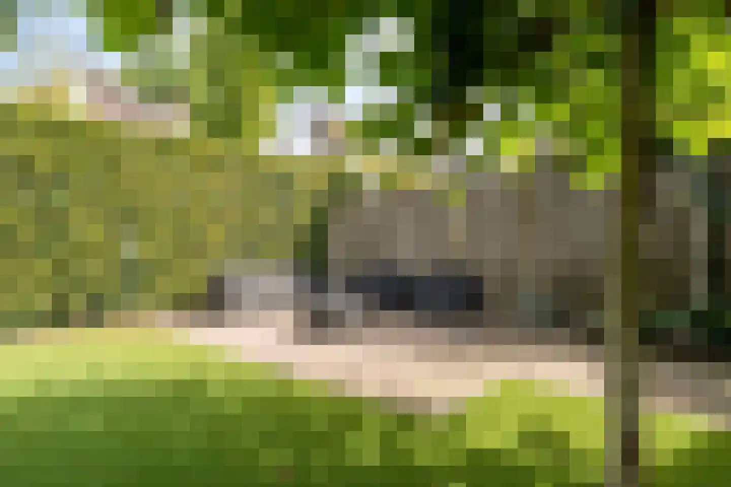 Handboogstraat 1 Loon op Zand thumbnail 35