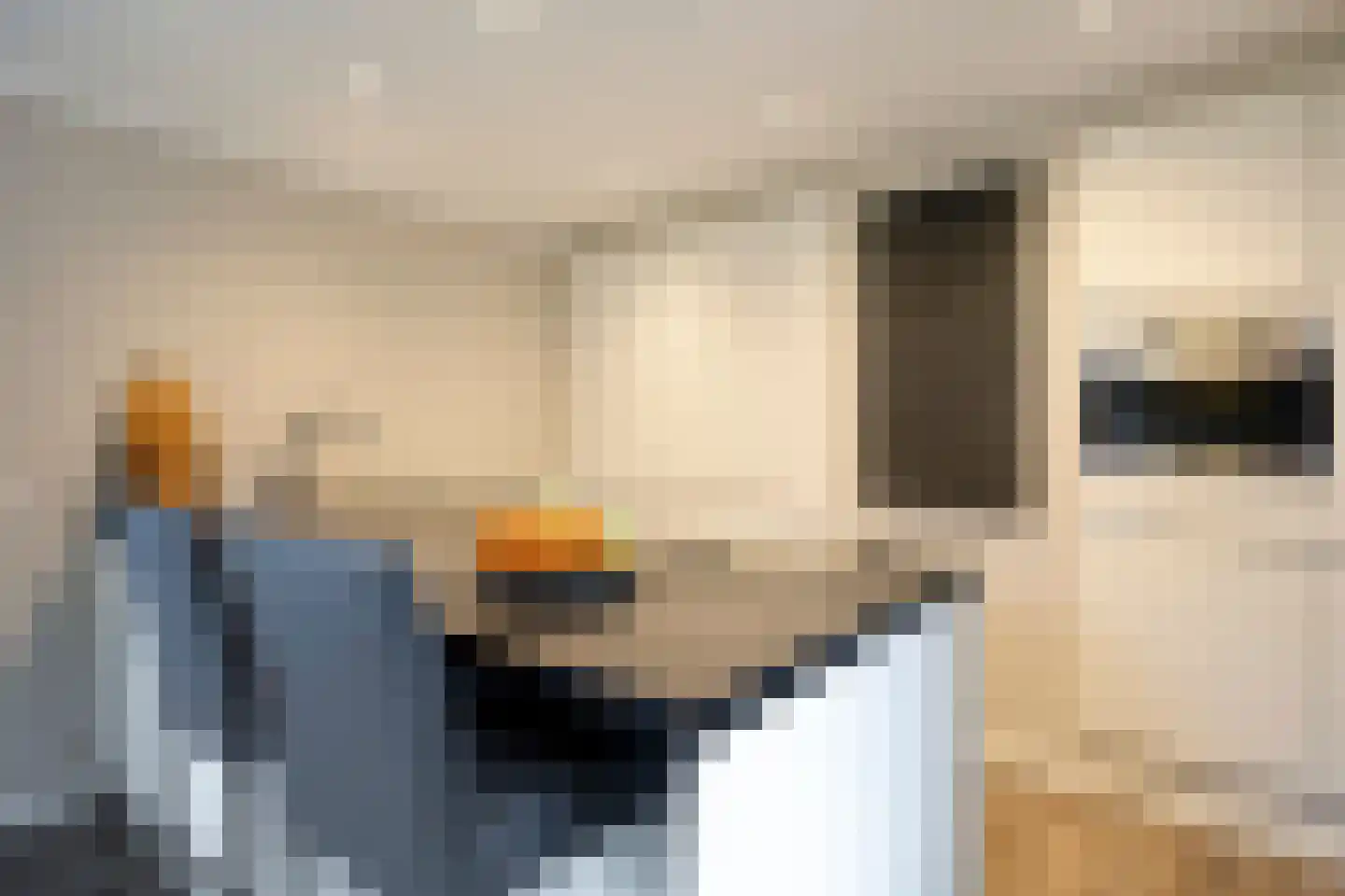 Handboogstraat 1 Loon op Zand thumbnail 4