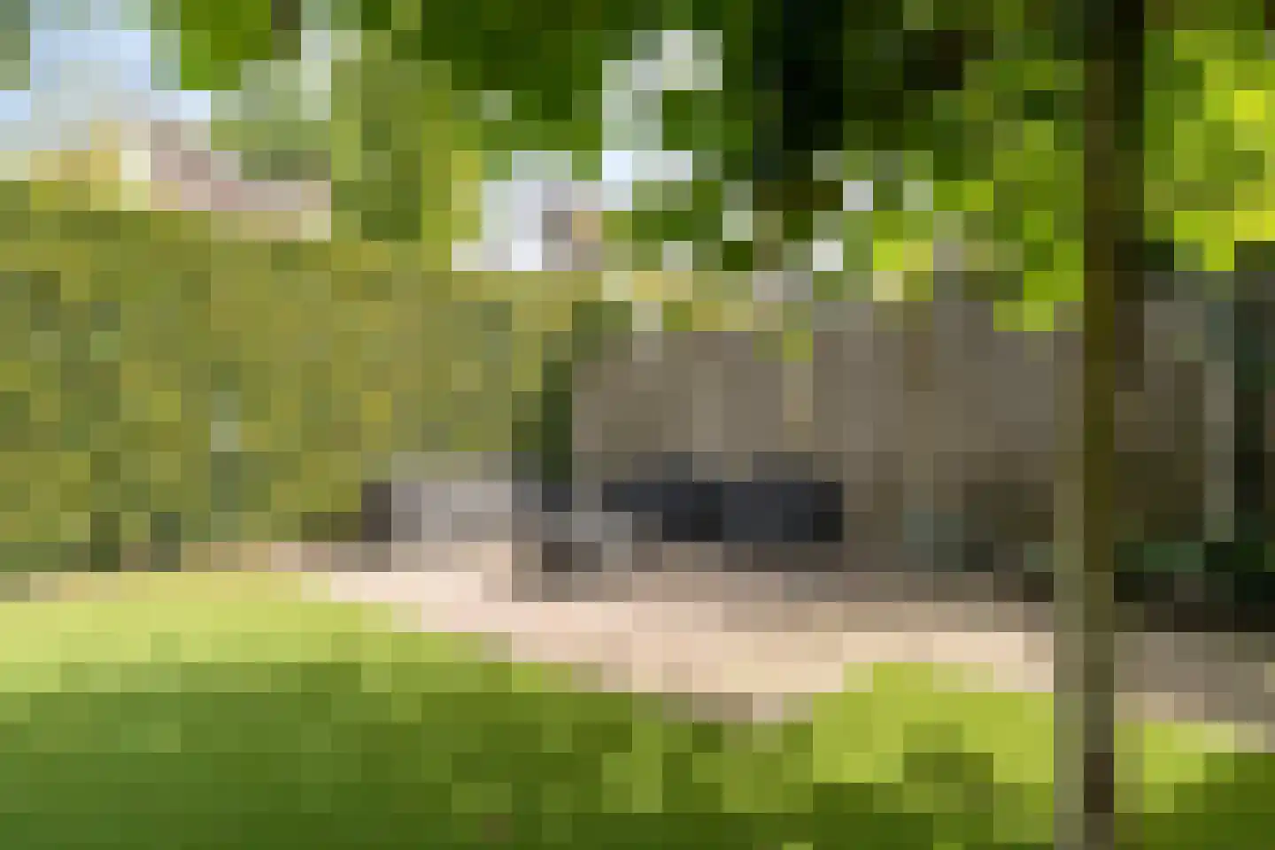 Handboogstraat 1 Loon op Zand thumbnail 5