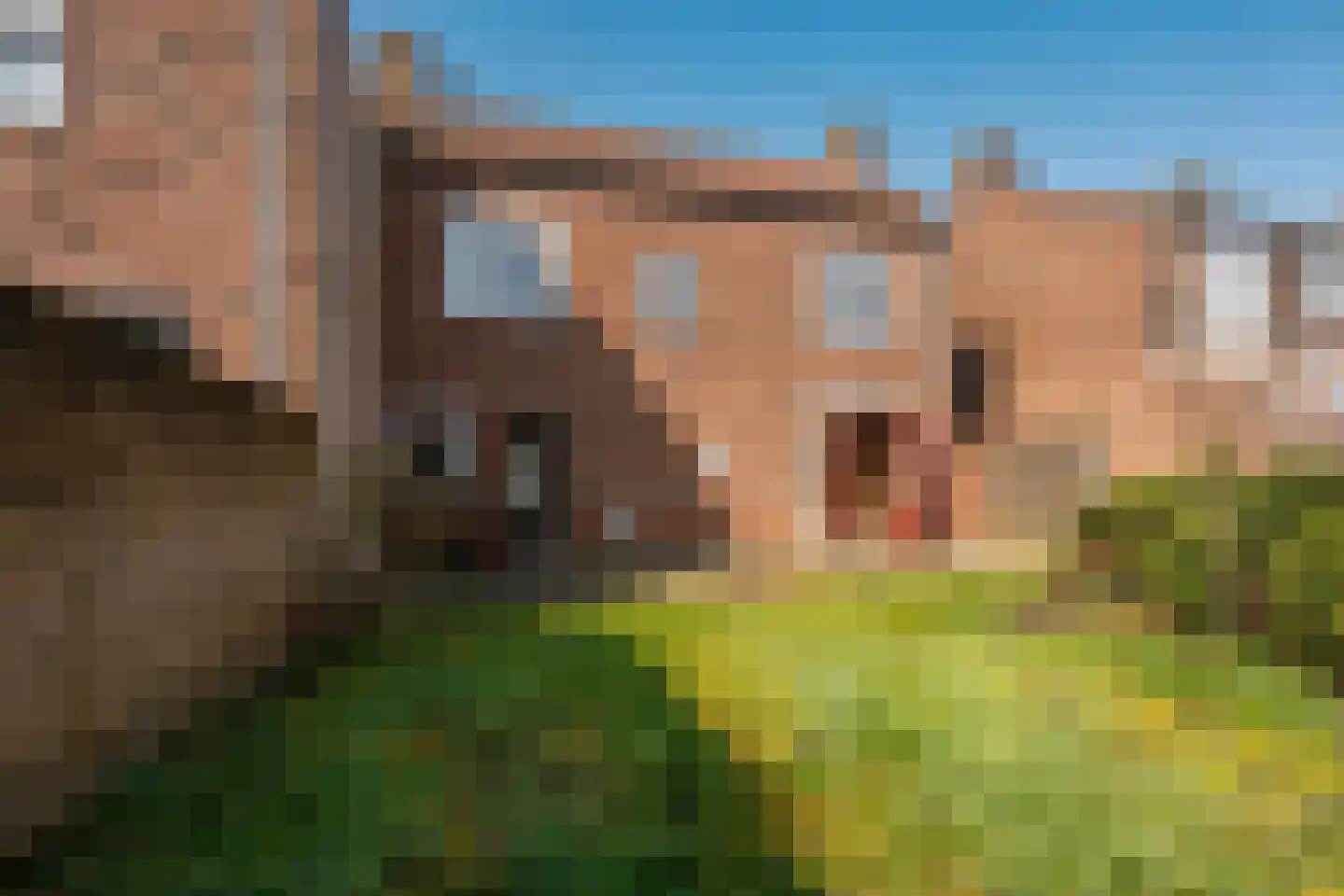 Handboogstraat 11 IJzendijke thumbnail 11
