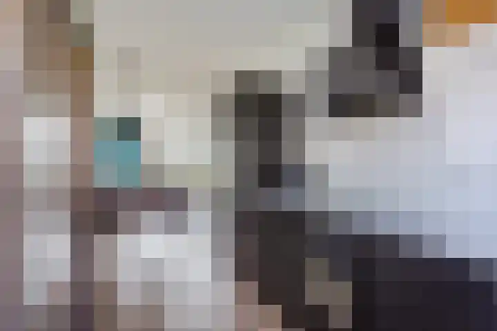 Handboogstraat 8 Zeeland thumbnail 18
