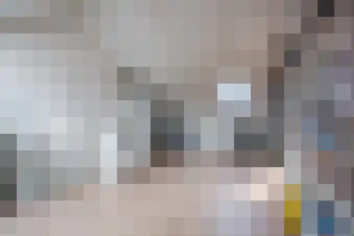 Handboogstraat 8 Zeeland thumbnail 32