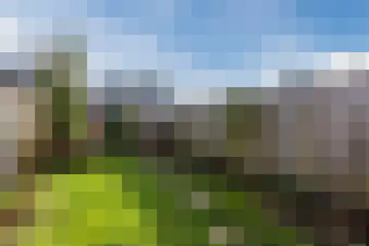 Handboogstraat 8 Zeeland thumbnail 34