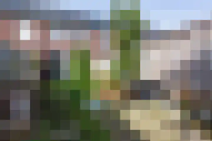 Handboogstraat 8 Zeeland thumbnail 36