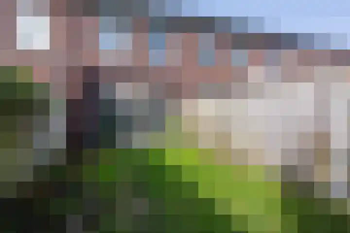 Handboogstraat 8 Zeeland thumbnail 37