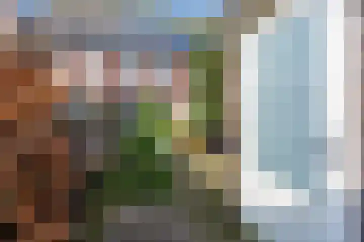 Handboogstraat 8 Zeeland thumbnail 38