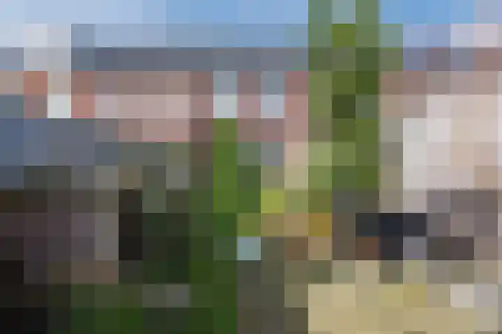 Handboogstraat 8 Zeeland thumbnail 39
