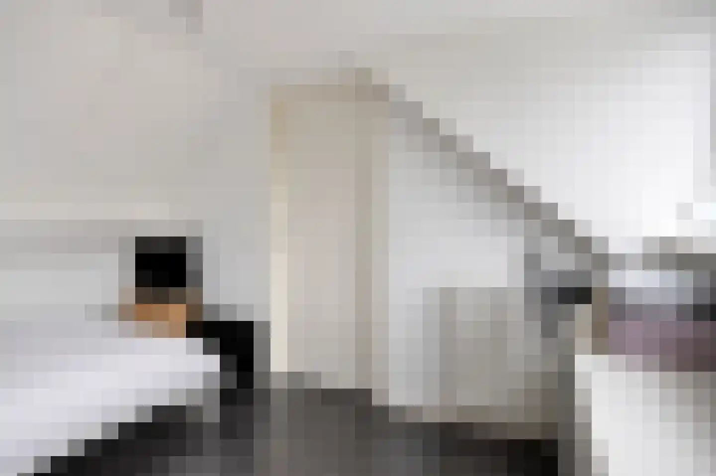 Handboogstraat 9 Haaren thumbnail 30