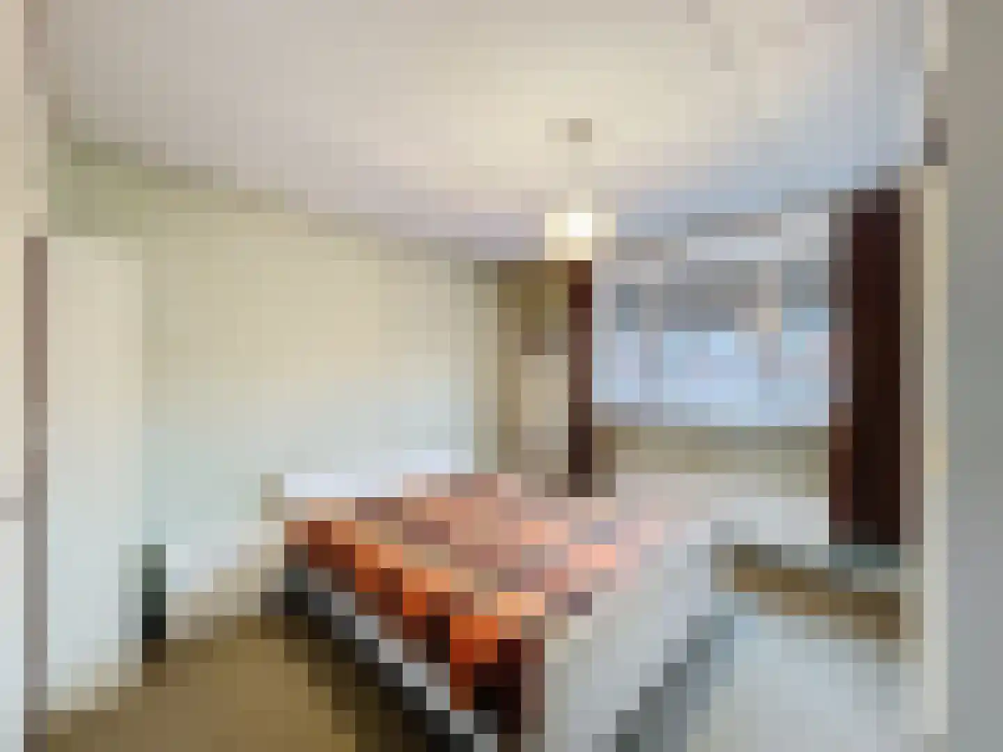 Handboogstraat 9 IJzendijke thumbnail 10