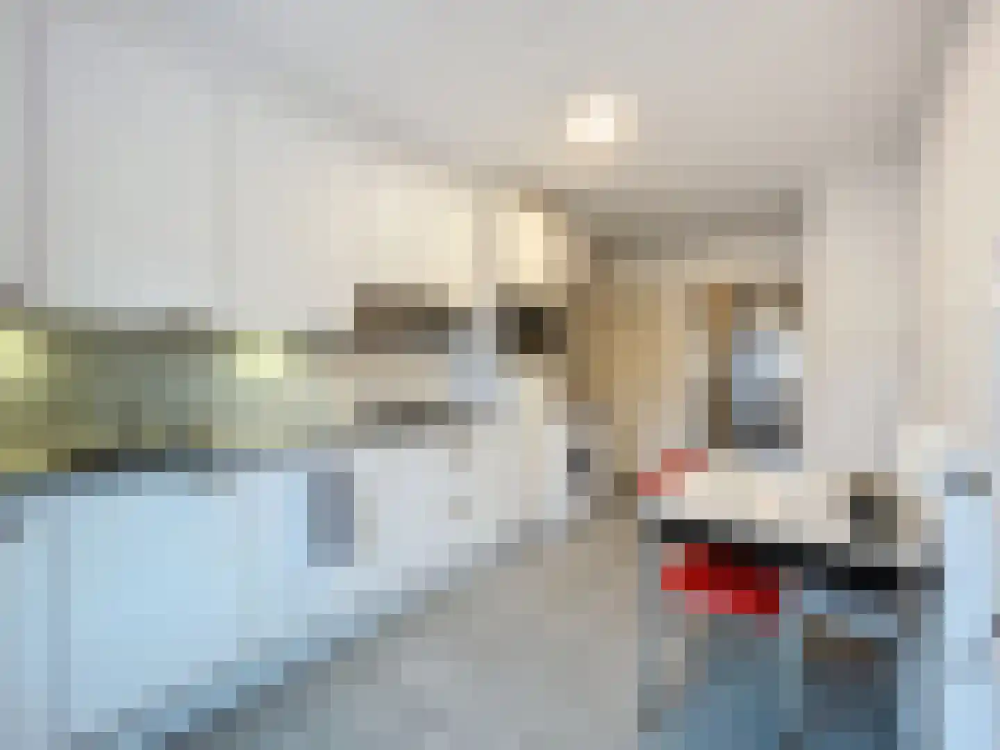 Handboogstraat 9 IJzendijke thumbnail 5