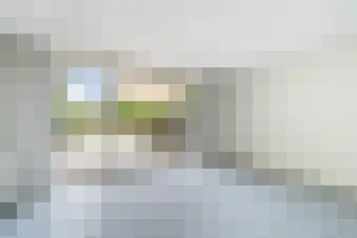 Händelhof 12 Alphen aan den Rijn thumbnail 12