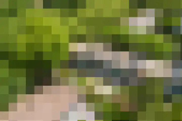 Händelhof 12 Alphen aan den Rijn thumbnail 19